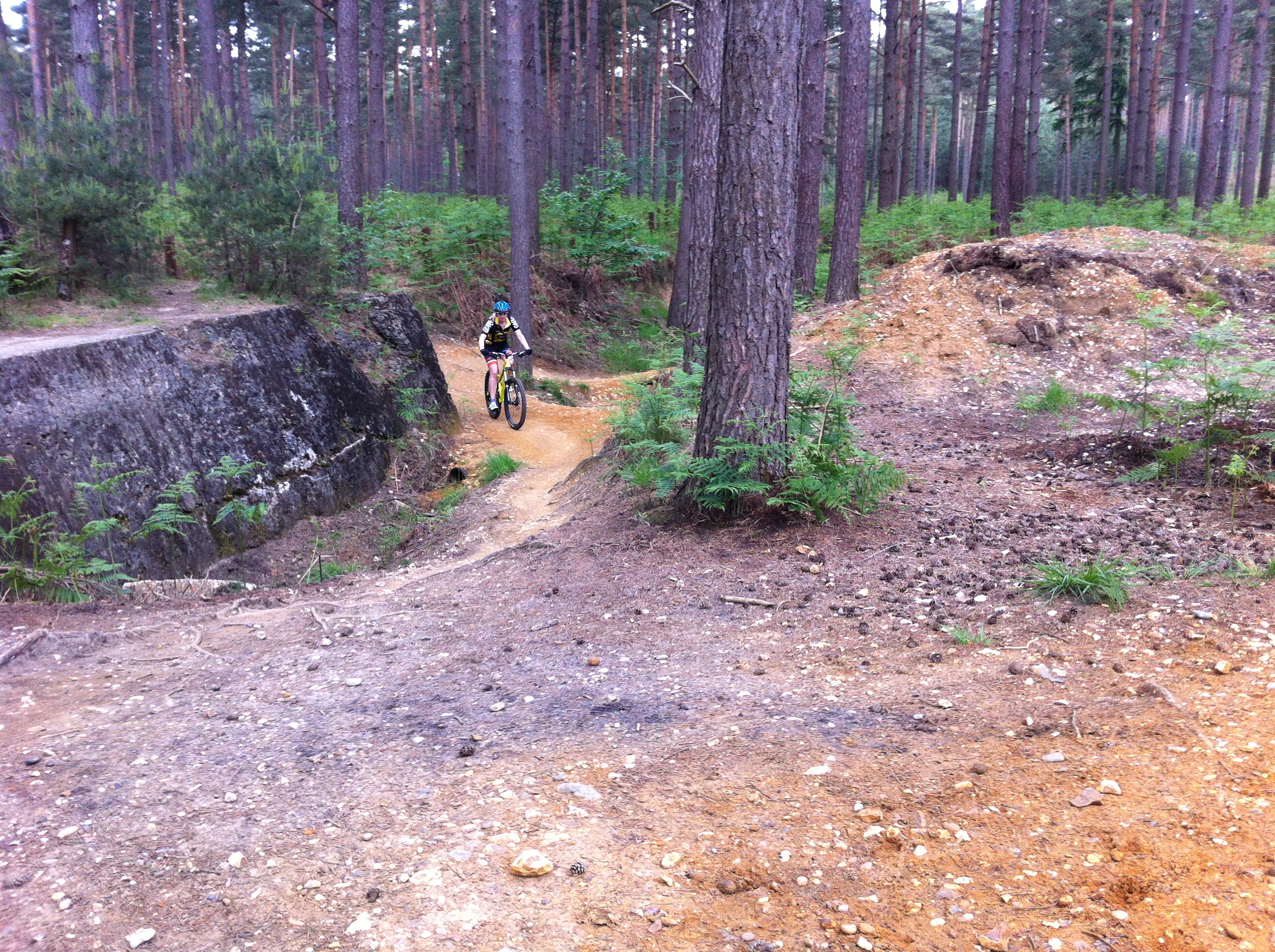 swinley forest cycling